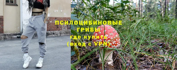 spice Алзамай