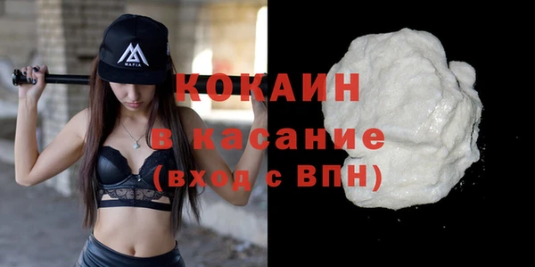стаф Арсеньев