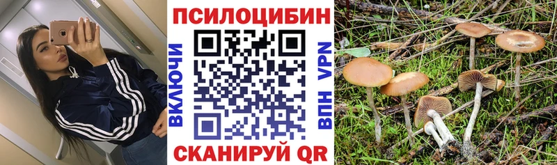 Псилоцибиновые грибы ЛСД  Анадырь 